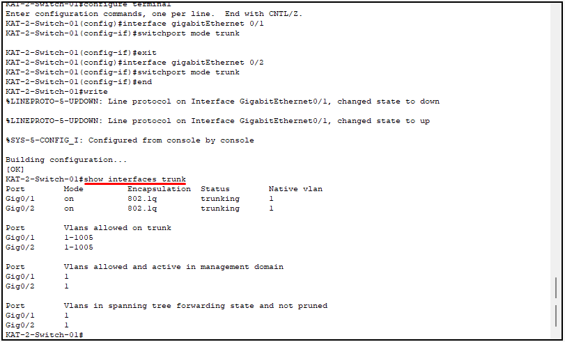 vlan trunk yapılandırma