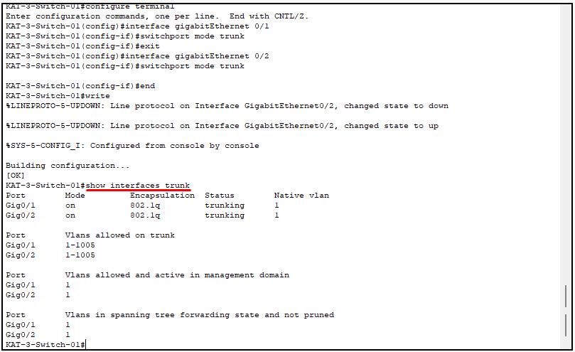 vlan trunk yapılandırma