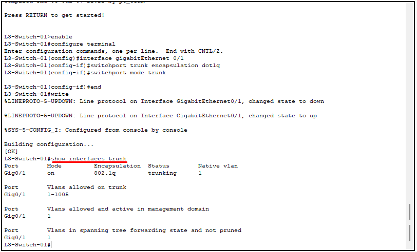 vlan trunk yapılandırma