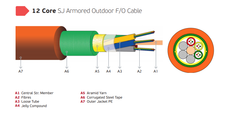 12 Core Fiber