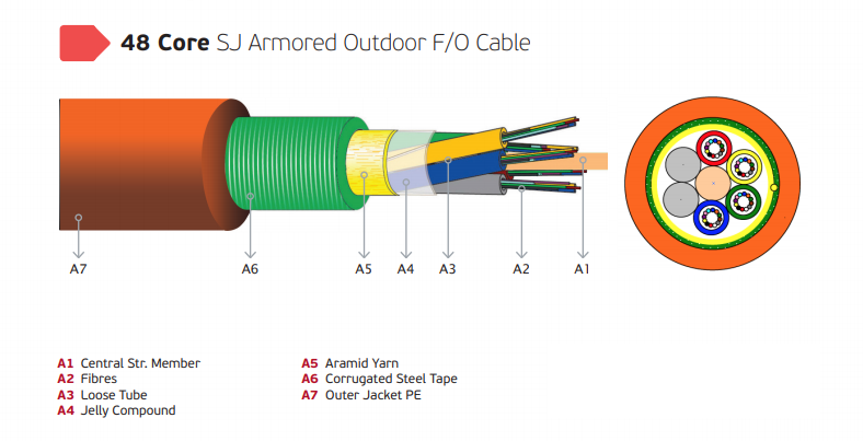 12 Core Fiber