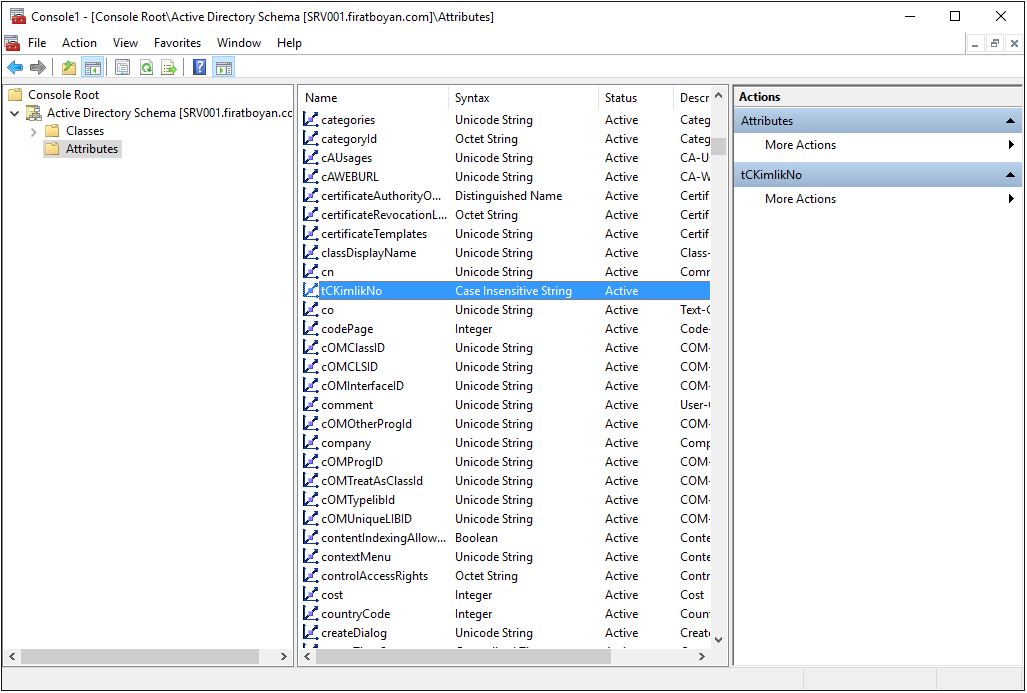 Active Directory Schema Attribute EKleme