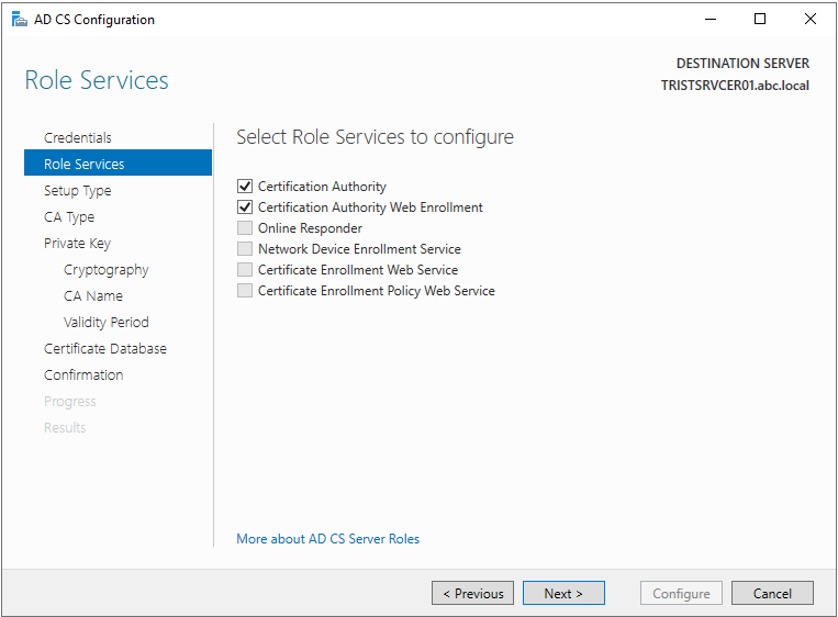 Active Directory Certification Authority Kurulum ve Yapılandırma