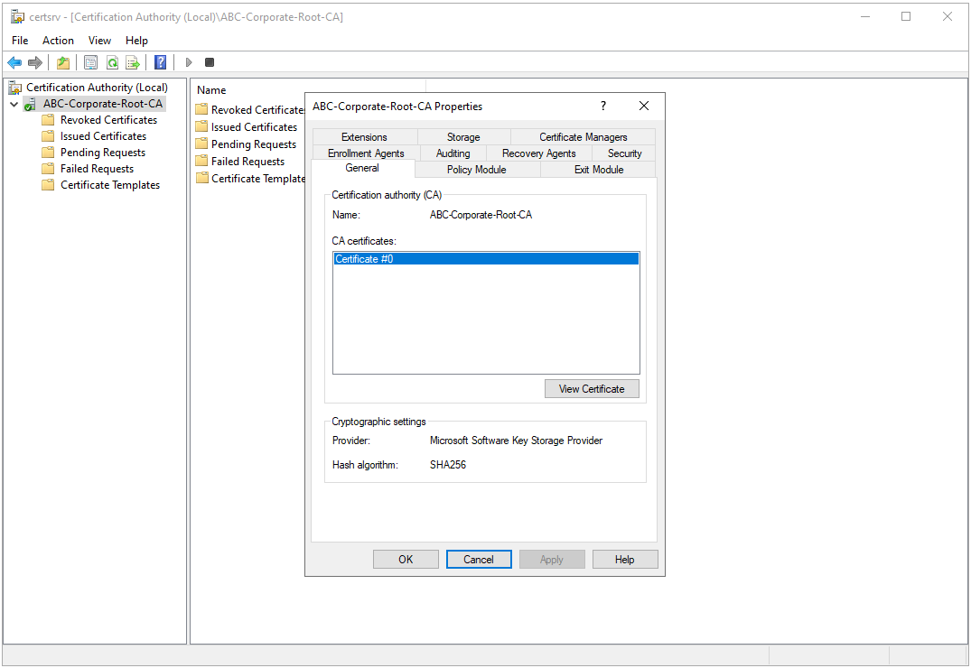 Active Directory Certification Authority Kurulum ve Yapılandırma