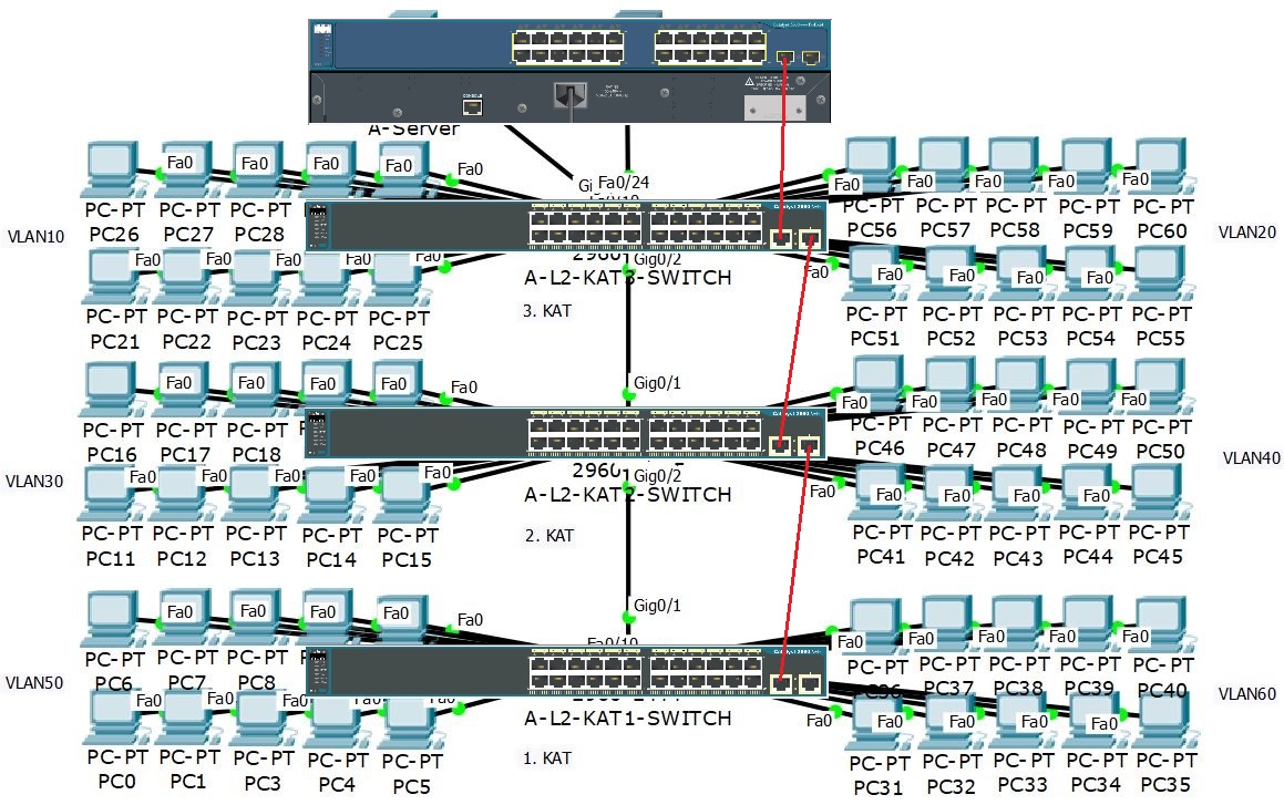 vlan trunk nedir
