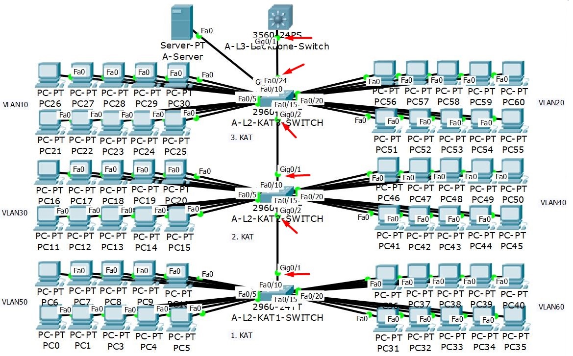 vlan trunk nedir
