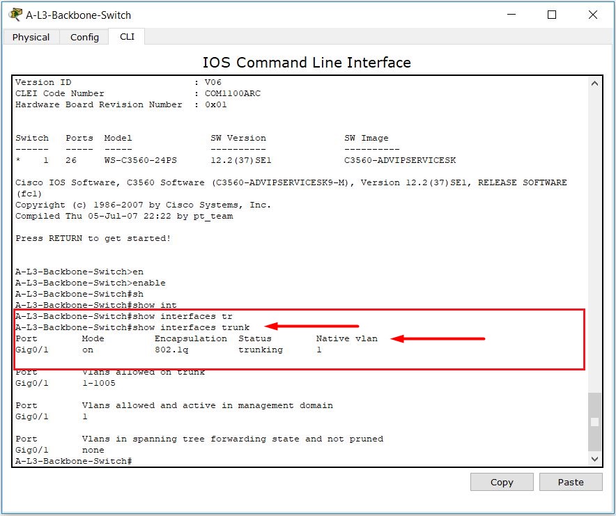 vlan trunk nedir