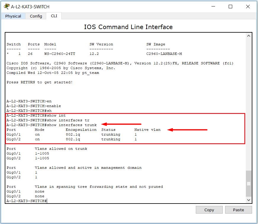 vlan trunk nedir