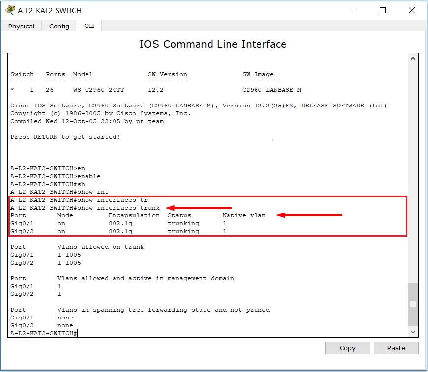 vlan trunk nedir