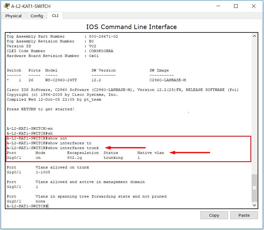 vlan trunk nedir