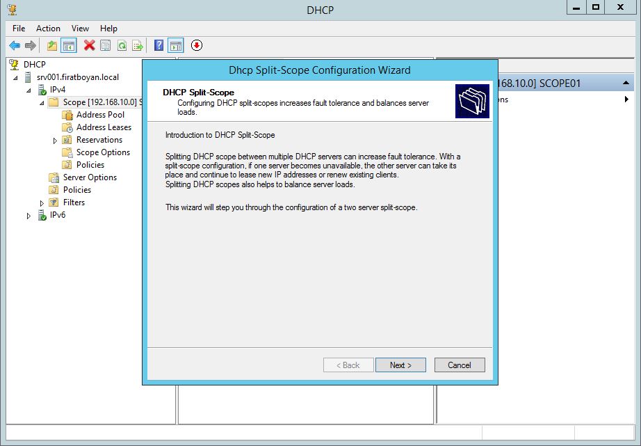DHCP Server Split Scope