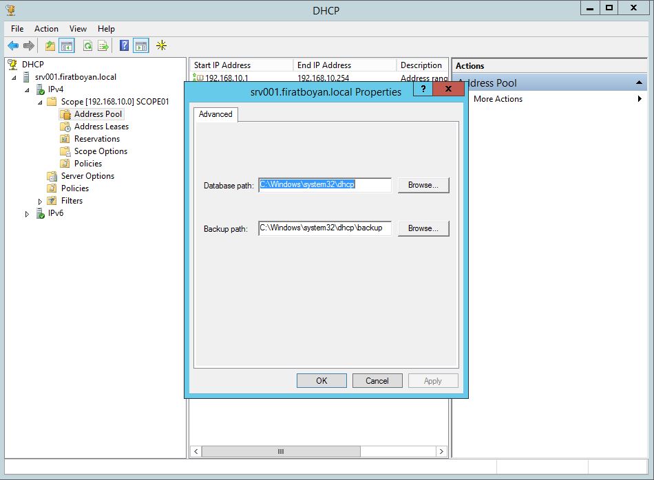 DHCP DATABASE BACKUP, RESTORE ve PATH değiştirme. 