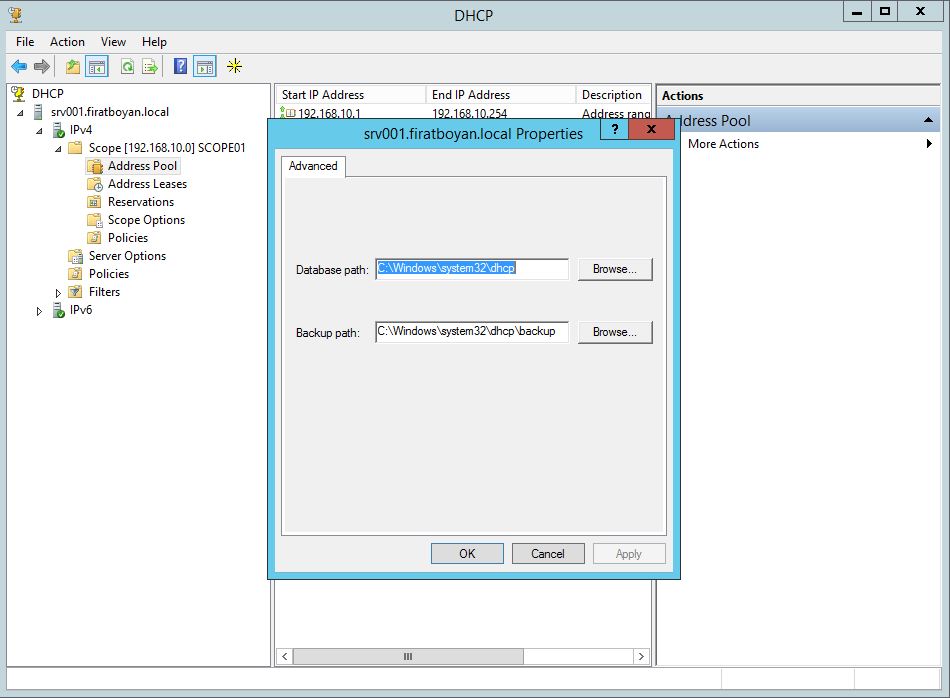DHCP DATABASE BACKUP, RESTORE ve PATH değiştirme.