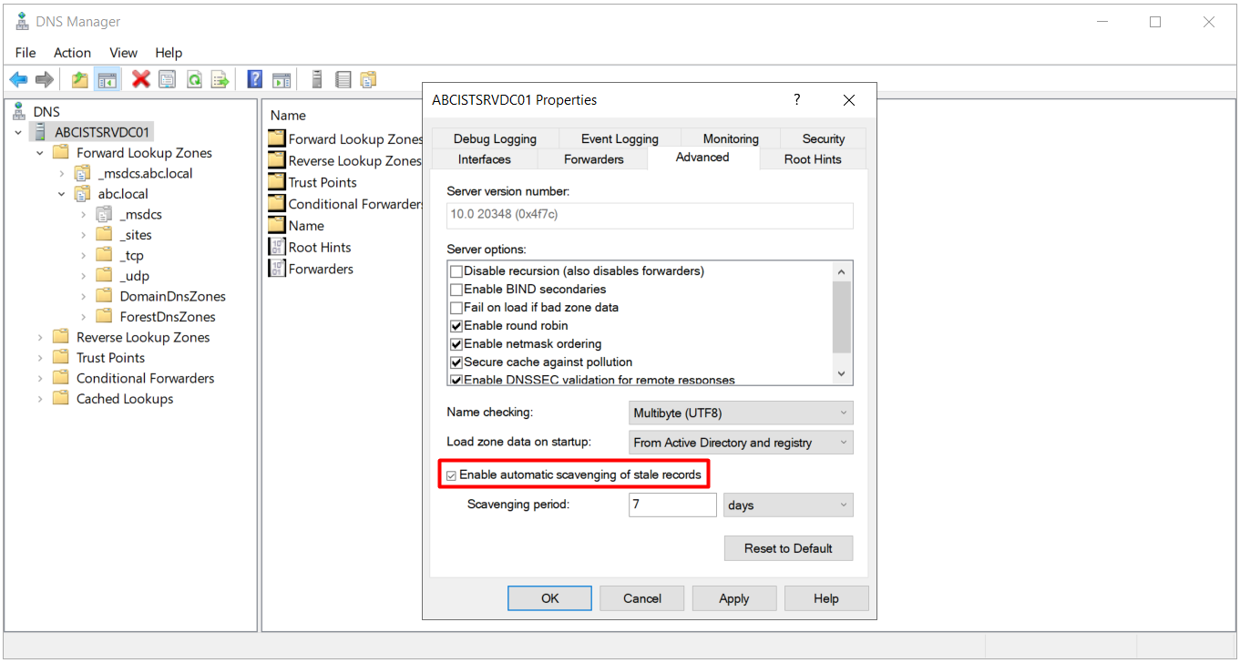 DNS sunucusu Advanced sekmesinde Enable automatic scavenging of stale records ayarı