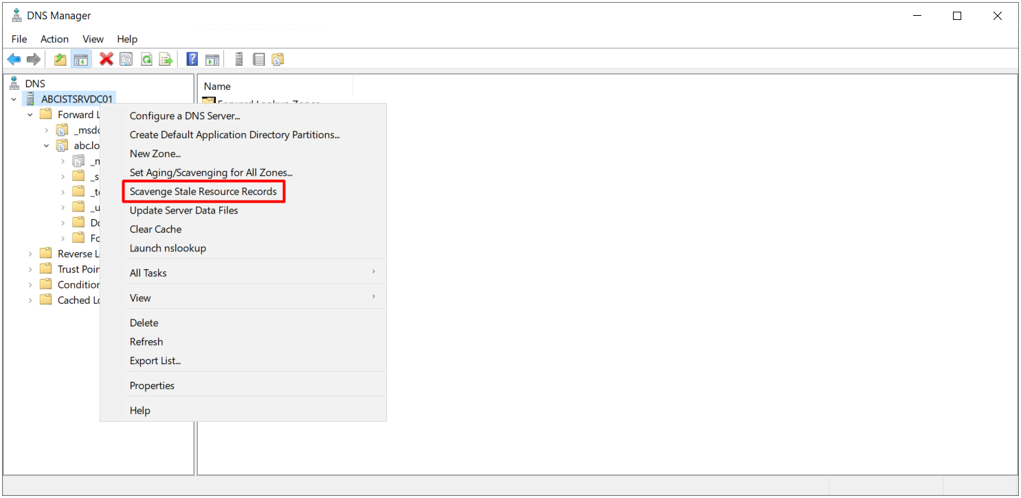 DNS sunucusu sağ tık menüsünde Scavenge Stale Resource Records seçeneği