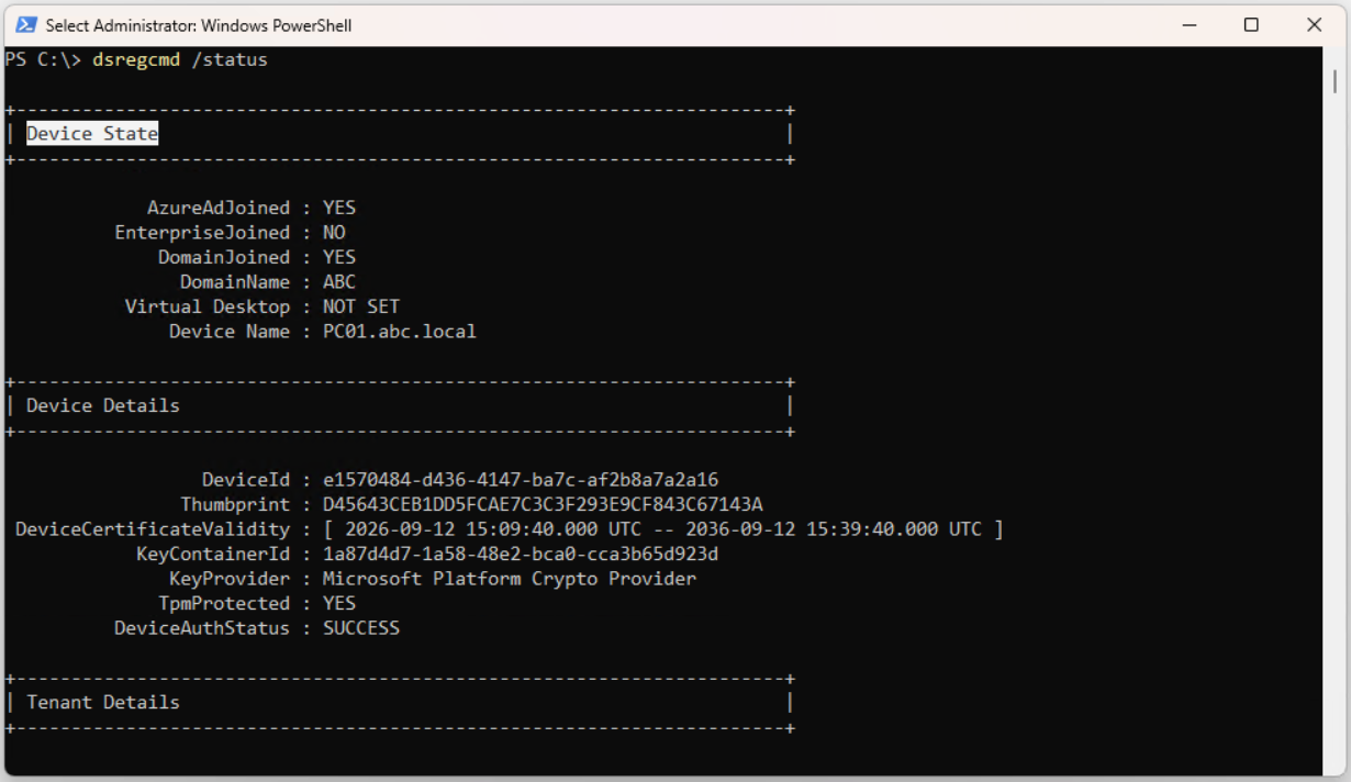 dsregcmd /status Device State bölümü, AzureAdJoined YES