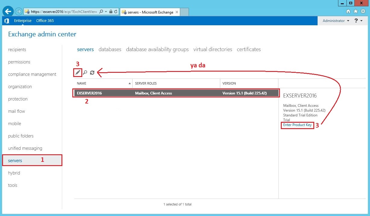 Exchange Server CAL License