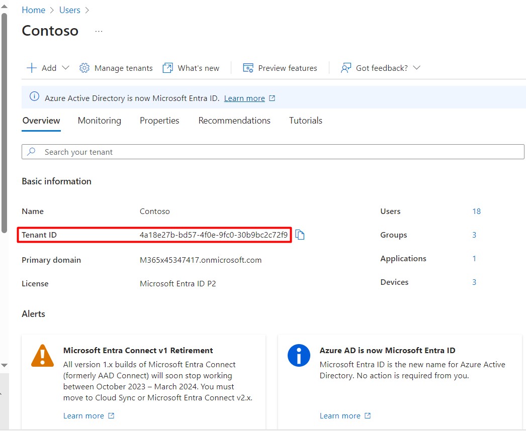 Microsoft Entra ID Overview ekranında Tenant ID bilgisi