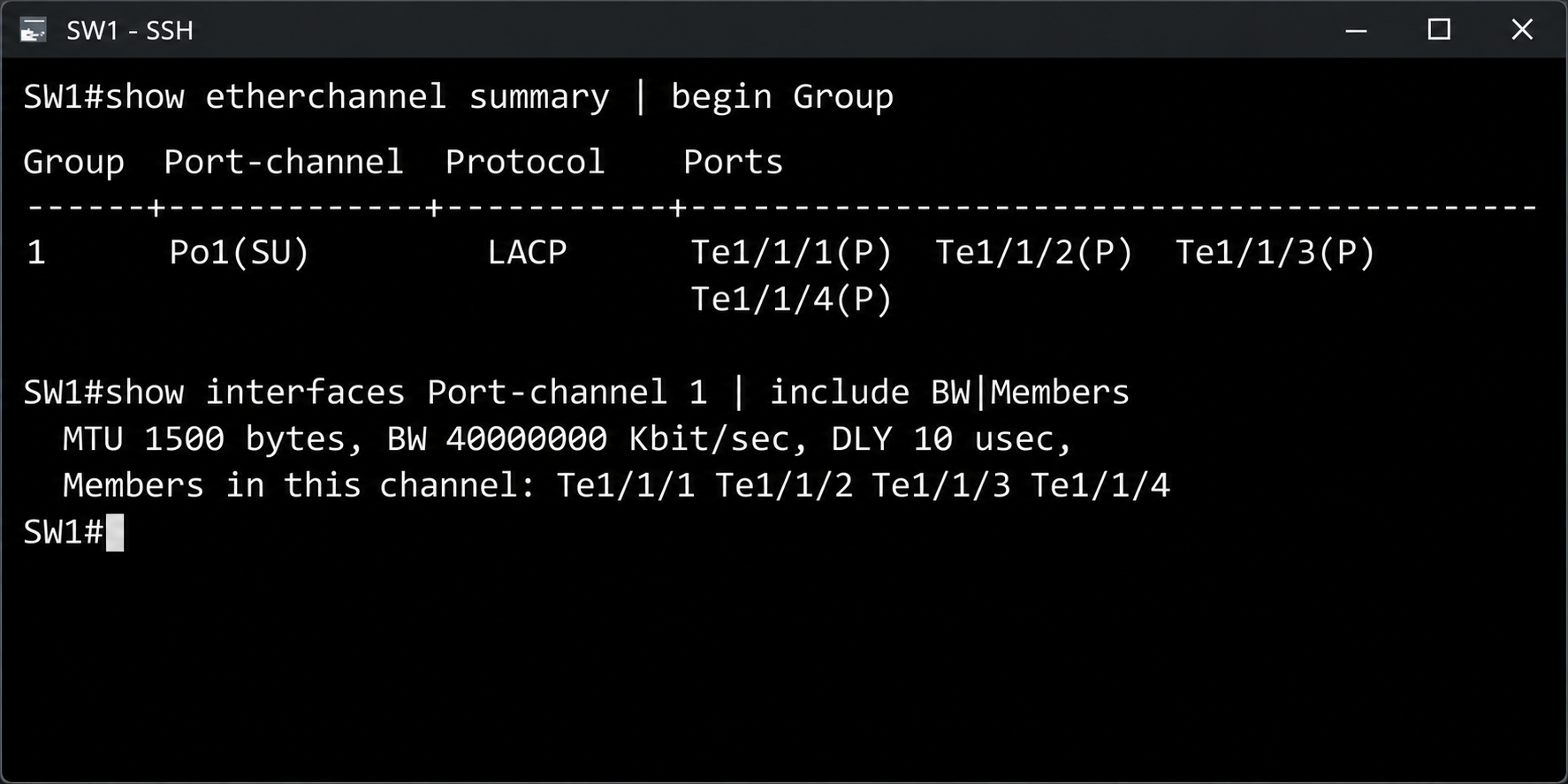 Dört adet 10G üye port ile Po1 doğrulaması ve 40 Gbps BW değeri