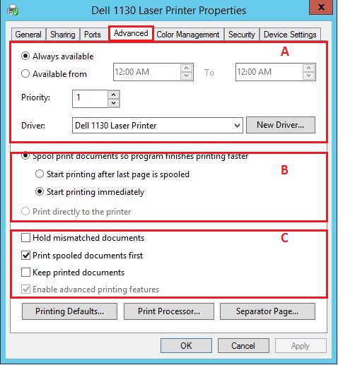 Print Server Kurulum,Yapılandırma ve Yazıcı Yönetimsel Ayarlar