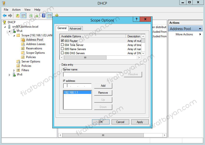 DHCP Server 