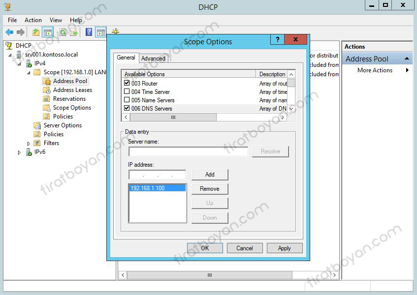 DHCP Server 