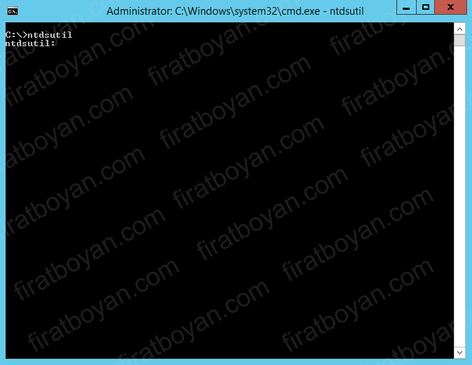 fsmo rollerinin aktarılması-firatboyan.com