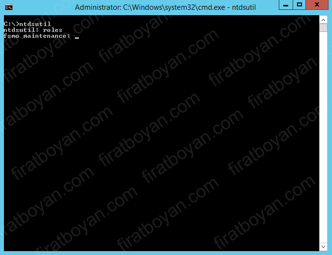 fsmo rollerinin aktarılması-firatboyan.com
