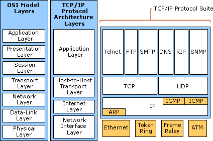 TCP/IP Katmanı